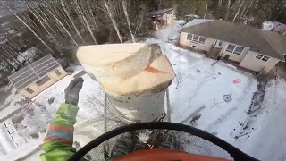 chunking down for milling and falling a cottonwood