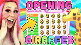 OPENING ONLY RARE GIRAFFE EGGS ! Roblox Adopt Me