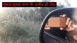 Tadoba National Vlog | Tiger on road | Tadoba jungle Safari | let's go Vlogs & Lifestyle