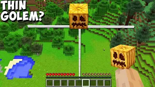 What HAPPENS if you SPAWN the THINNEST GOLEM in Minecraft  STRANGE GOLEM !