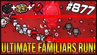 ULTIMATE FAMILIARS RUN! - The Binding Of Isaac: Afterbirth+ #877