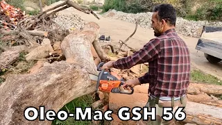 Oleo Mac GSH 56 Motorlu Testere Odun Kesimi