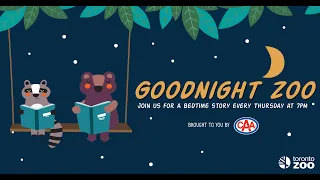 Goodnight Zoo 📚 - We All Went On Safari