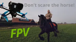 Filming Horses With My FPV Drone