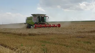 Žatva 2021 (4.), Kežmarok, Claas Lexion 670 v jačmeni