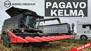 Drąsiau jaučiasi vikšriniame kombaine || AGRO REIDAS