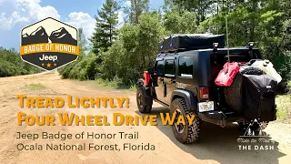 Tread Lightly! Four Wheel Drive Way Jeep Badge of Honor Trail - Ocala National Forest, Florida