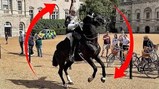 Horse decides he’s had ENOUGH!