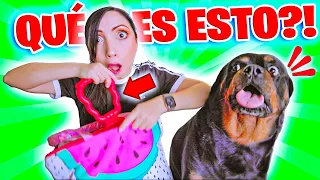 ESTOS SON JUGUETES? 😱 ASI REACCIONA MI PERRO  😂 PLAY PLAY PLAY Sandra Cires Art 🔥