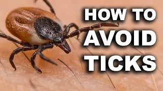 How to avoid ticks