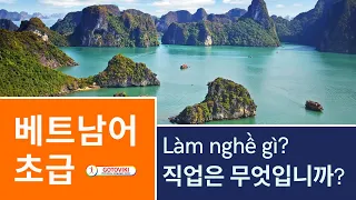 베트남어 배우기 | 초급 | Làm nghề gì? 직업은 무엇입니까?