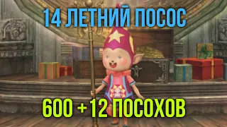 600 Ламп. 14 летний посос на посохах. Тест +12 посохов.