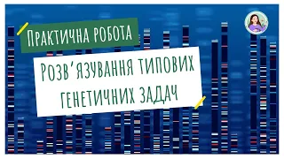 Практична робота. Розв'язування типових задач з генетики