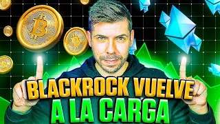 🔴 ÚLTIMA HORA: ¡TESLA PUBLICA sus MOVIMIENTOS con BITCOIN! 😦 BLACKROCK EXPLOTA HEDERA - HBAR