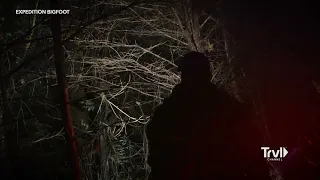 EXPEDITION BIGFOOT Season 3 Finale Clip: "Team Stumbles Upon Large Nest" / Travel Channel