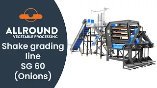 Shake grader SG 60 line with onions | Allround Vegetable Processing