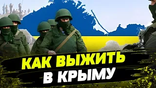 10 лет оккупации Крыма: как выживают местные жители?