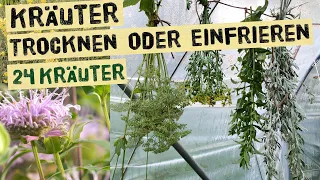 Trocknen oder Einfrieren? Welche Kräuter erhalten am besten ihr Aroma wie macht man sie haltbar.