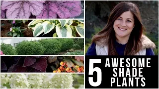 5 Awesome Plants for Shade! 🌿🌥👍 // Garden Answer