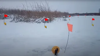 Зимняя рыбалка на ЖЕРЛИЦЫ с подводными съемками! Голодная щука атакует живца!
