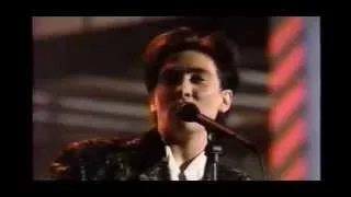 k.d. lang - Live '93 Center Stage (PBS Chicago)