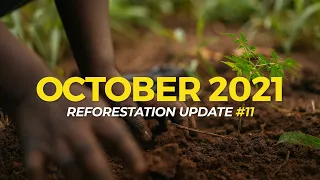 October 2021 | Reforestation Updates | One Tree Planted