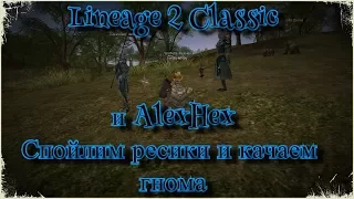 Lineage 2 Classic. Зарабатываем адену на Тарбар! Идём лупить РБ. Cервер Einhasad.