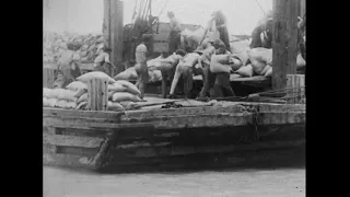 Loading Sugar, Kahului, Maui, Hawaiian Islands (1906) Edison