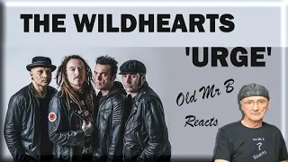 THE WILDHEARTS 'URGE' (Live) (Reaction)