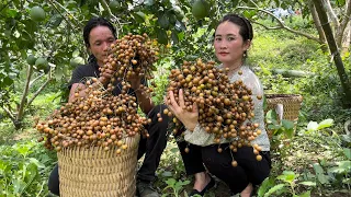 Harvesting Wild Grapes Goes to the market sell, Vàng Hoa