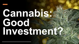 Are Cannabis Stocks a Good Investment?