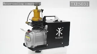 TUXING TXES031 4500Psi 300Bar 30MPpa PCP Air Compressor Electric High Pressure PCP Pump Rifle Airgun