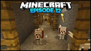 Minecraft: Exploring The Abandoned Mineshaft - Episode 12 (Survival Let's Play)