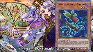 Yu-Gi-Oh! Predaplant Combo Showcase