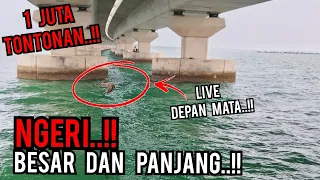 YA TUHANKU !! TENGAH MEMANCING TIBA-TIBA TERNAMPAK  BENDA PANJANG DAN BESAR BAWAH JAMBATAN