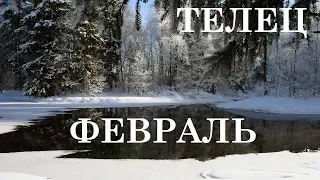 ТЕЛЕЦ ТАРО ГОРОСКОП ФЕВРАЛЬ 2020