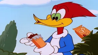 Woody finds a surprise in the forest | Woody Woodpecker