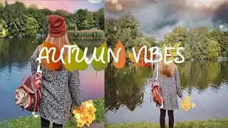 FALL🍂 AUTUMN VIBES🌾 За что я люблю осень