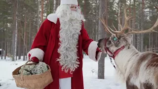 Los Renos de Papá Noel Santa Claus en Laponia Finlandia video para famílias Rovaniemi Navidad