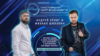Андрей Кёниг и Михаил Шипулин "Мифы конфликтологии".