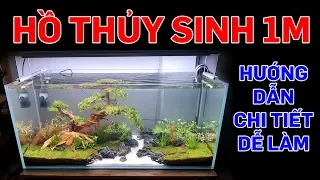 Hồ thủy sinh siêu trong 1m - Hướng dẫn setup chi tiết - Quoidecor