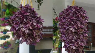 Hanging plant ideas|How to make amazing hanging pots| hanging decoration ideas| hanging plants