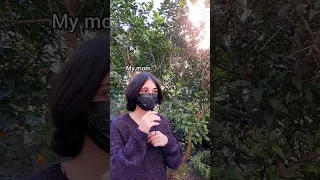 sorry mom! #tiktok #viral #video #funny #mom #lgbt #gf #longdistancerelationship  #shorts #k_seven