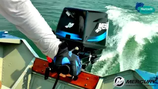 Motor Mercury 25 Sea Pro - Martinelli