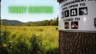 public land Kentucky turkey scouting (day #2 2024)