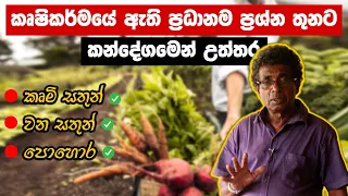 කෘෂිකර්මයේ ඇති ප්‍රධානම ප්‍රශ්න තුනට කන්දේගමෙන් උත්තර | කවුද මේ පකෝනිස් ? | Thilak Kandegama