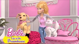 Latinoamérica: Life in the Dreamhouse - Un Problema de Mascotas | @Barbie