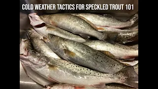 Cold weather tactics for SPECKLED TROUT 101