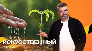 Тщательная селекция. Как выводят гибриды растений? И для чего нужны квадратные яблоки и арбузы