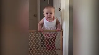 Top 10 Unbelieveable!  Smart Babies Escape From Gate| Funny Babies and Pets